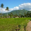 Glenmore plantation in Kalibaru Indonesia Travel Blog