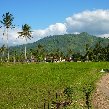 Kalibaru Indonesia