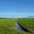 Sanur beach hotel Bali Indonesia Blog Sanur beach hotel Bali