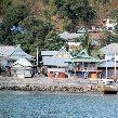 Komodo dragon habitat on Rinca island Indonesia Holiday Experience