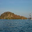 Komodo dragon habitat on Rinca island Indonesia Diary Photography