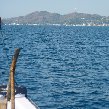 Komodo dragon habitat on Rinca island Indonesia Photography