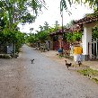 Lovina Beach Bali Indonesia Trip Picture