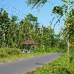  Ubud Indonesia Travel Pictures