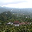 Best hotel in Ubud Bali Indonesia Travel Sharing