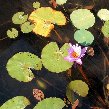 Best hotel in Ubud Bali Indonesia Travel Gallery