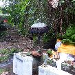 Best hotel in Ubud Bali Indonesia Review Photo
