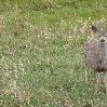 Yellowstone National Park United States Story Sharing