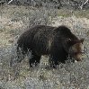 Yellowstone National Park United States