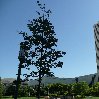 Salt Lake City United States