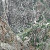 Black Canyon of the Gunnison Park Montrose United States Trip Experience