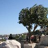 Walking tours in Jerusalem Israel Travel Album