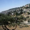 Walking tours in Jerusalem Israel Diary Photo
