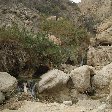   Ein Gedi Israel Diary Experience