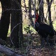   Nelspruit South Africa Travel Tips