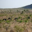 Kruger National Park Nelspruit South Africa Holiday Tips