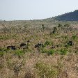   Nelspruit South Africa Holiday Tips