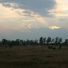 Great Zimbabwe ruins Masvingo Picture Great Zimbabwe ruins