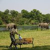 Gweru Antelope Park Zimbabwe Trip Adventure