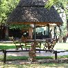 Gweru Antelope Park Zimbabwe Blog Sharing