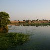 Gweru Antelope Park Zimbabwe Diary Photo