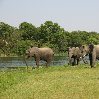 Gweru Antelope Park Zimbabwe Review Photo Gweru Antelope Park