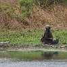 Gweru Antelope Park Zimbabwe Adventure