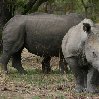 Matobo National Park Zimbabwe Bulawayo Review Sharing