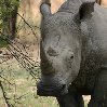 Matobo National Park Zimbabwe Bulawayo Vacation Photos Matobo National Park Zimbabwe