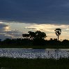 Chobe National Park Botswana Kasane Blog Experience