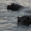 Chobe National Park Botswana Kasane Blog Information