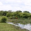 Chobe National Park Botswana Kasane Album Sharing