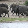 Chobe National Park Botswana Kasane Blog Review