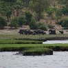 Chobe National Park Botswana Kasane Trip Photographs