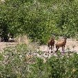 Etosha National Park Namibia Okaukuejo Blog Sharing Etosha National Park Namibia