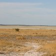 Etosha National Park Namibia Okaukuejo Diary Photo Etosha National Park Namibia