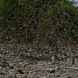 Etosha National Park Namibia Okaukuejo Review Picture