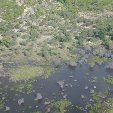 Maun Botswana 