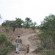 Gweru Antelope Park Zimbabwe Holiday Review