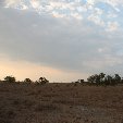 Gweru Antelope Park Zimbabwe Travel Picture