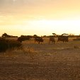  Usakos Namibia Travel Review