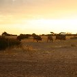 Spitzkoppe Mountains Namibia Usakos Travel Review