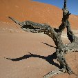 Solitaire Sossusvlei desert camp Namibia Trip Experience