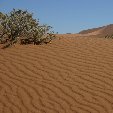 Solitaire Sossusvlei desert camp Namibia Diary Photo