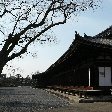 Things to do in Kyoto Japan Holiday Sharing