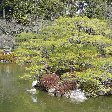 Things to do in Kyoto Japan Diary Pictures