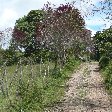 San Agustin Colombia Picture gallery