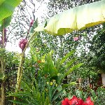 San Agustin Colombia Vacation Pictures