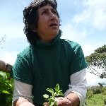 San Agustin Colombia Travel Photos