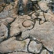 San Agustin Colombia Blog Pictures